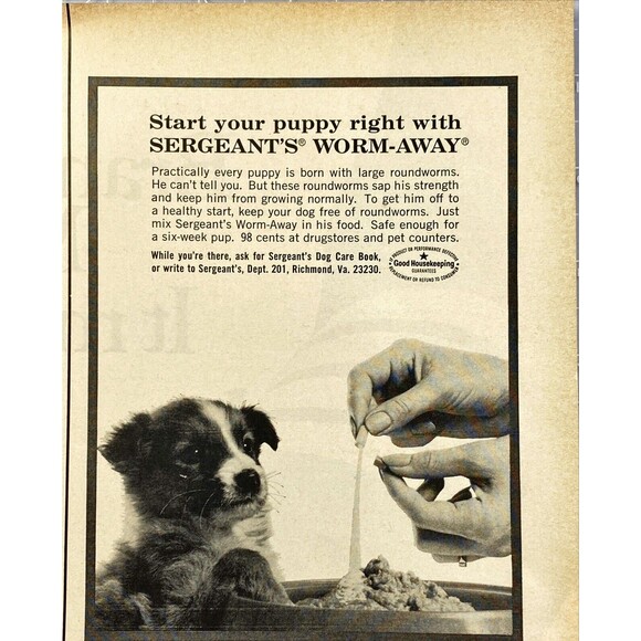Sergeant's Worm-Away "Start you puppy right" Vintage Print Ad 1967 - Picture 1 of 3